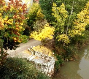 Duero en Tudela