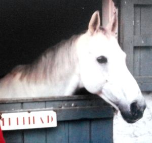 1eM2bKVb3Mb2bNTbb0UUFXgD