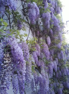 5523c79720a789416d8a1014534d095f60878d5b