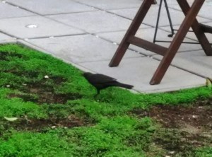 f21d889ce4118195756ade6c5e3a83fcf71b185f