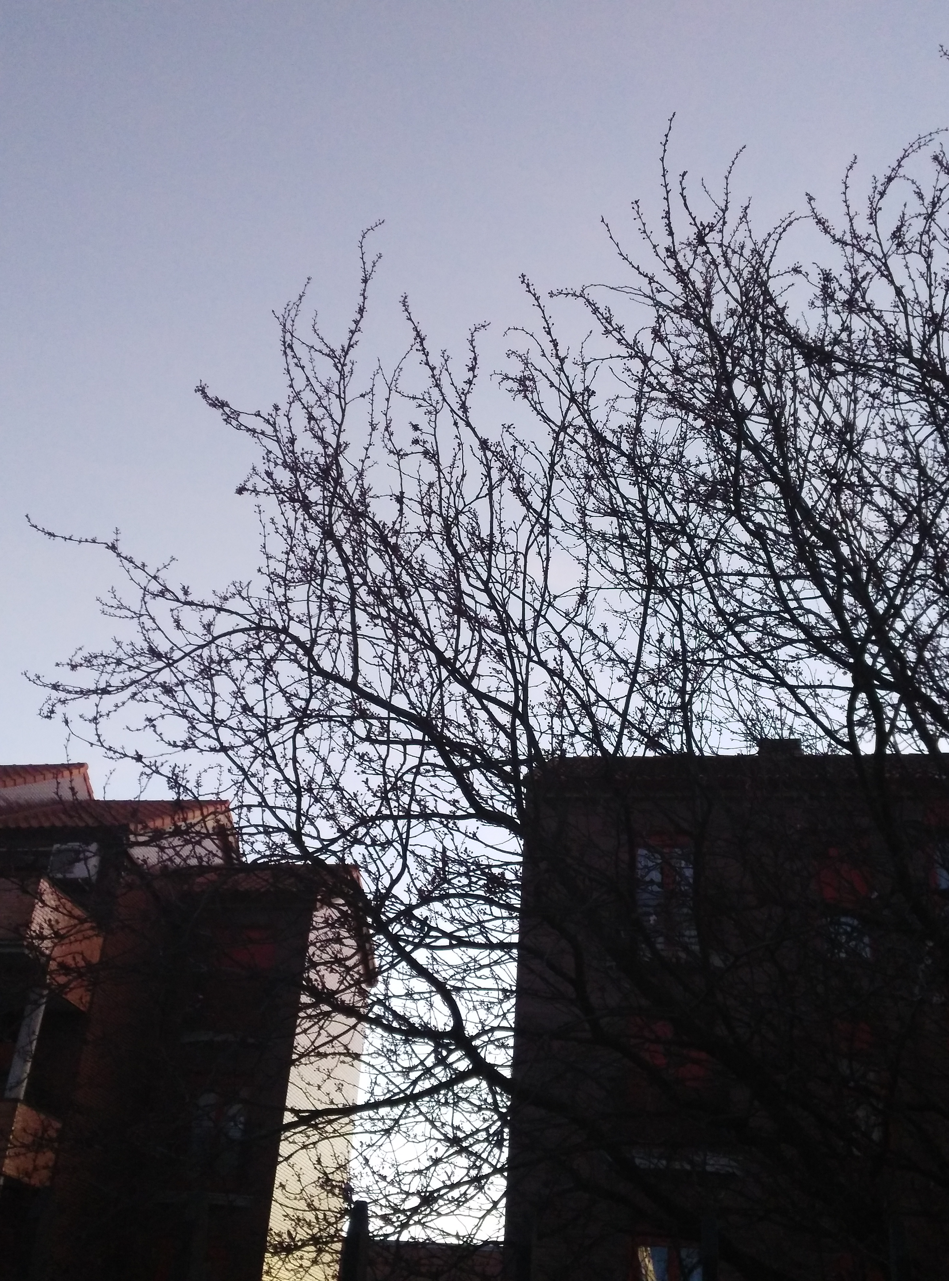 IMG_20160229_192447 (1)