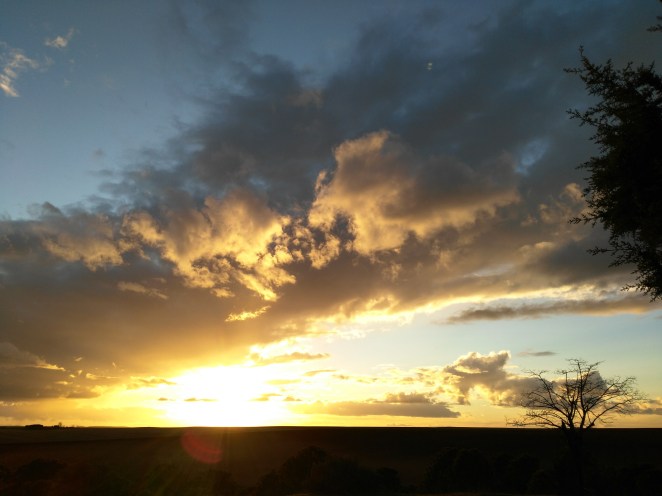 IMG_20170312_190635 (1)