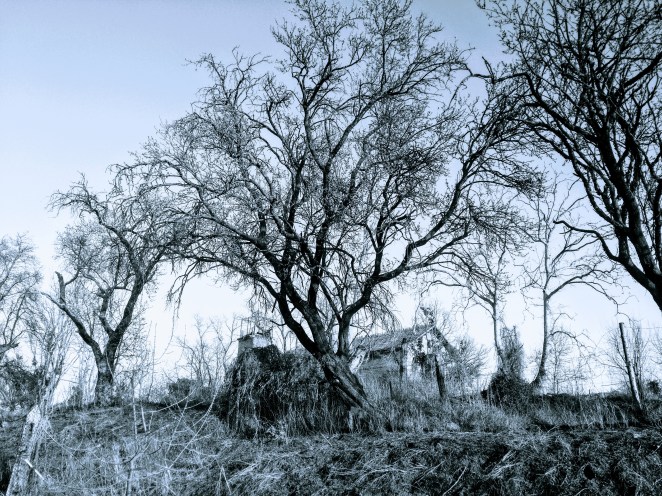 IMG_20190221_175526-EFFECTS-EFFECTS (1)