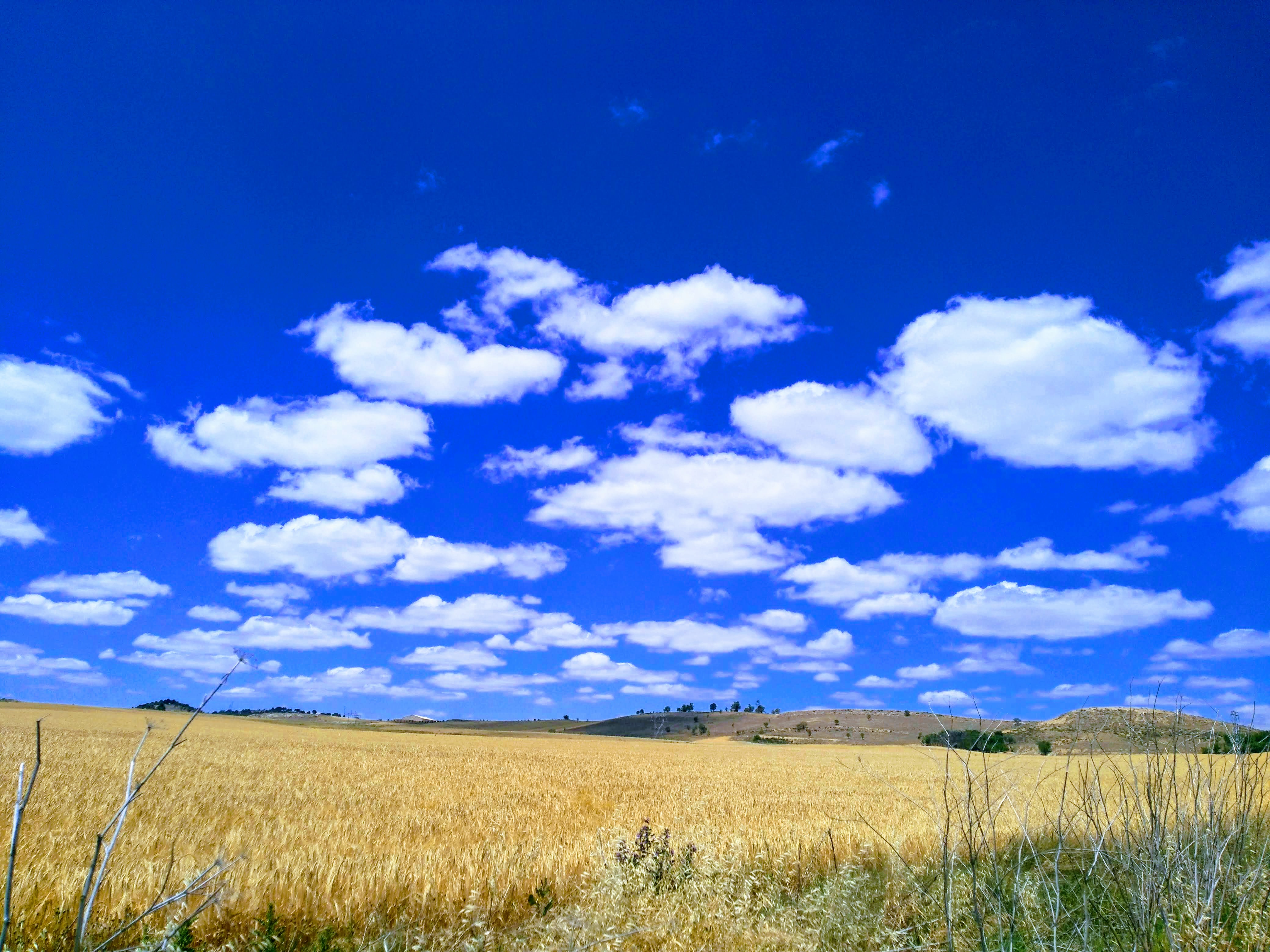 IMG_20190615_143336-EFFECTS